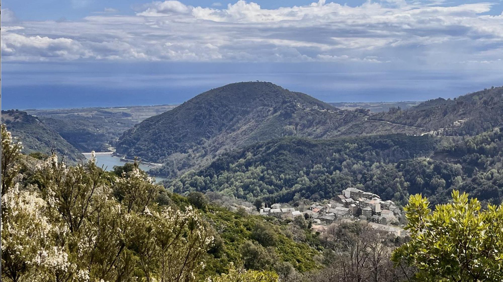 Maison De Charme Corse Sauvage Pietra-di-Verde Εξωτερικό φωτογραφία